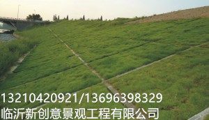 x2_1.1409291082_1797_1030_393910-300x172